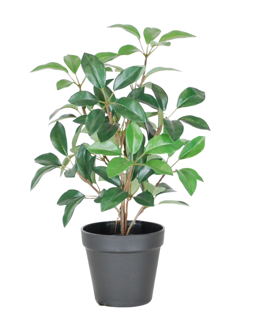 Greenmoods Kunstig Laurbær i Potte UV 43cm