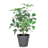 Greenmoods Kunstig Laurbær i Potte UV 43cm