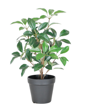 Greenmoods Kunstig Laurbær i Potte UV 43cm