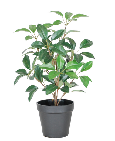 Greenmoods Kunstig Laurbær i Potte UV 43cm