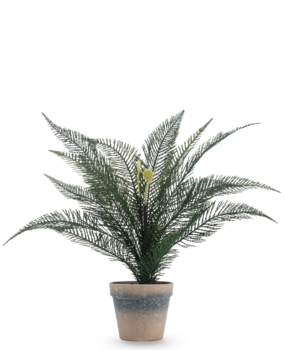 Greenmoods Kunstig Phoenix Bregne i Potte 40cm