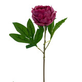 Greenmoods Kunstig blomst Lotuspeon Real Touch rød 58 cm