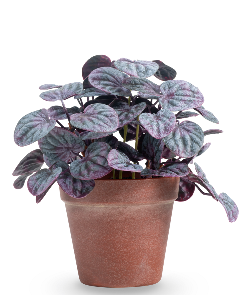 Greenmoods Kunstig Peperomia Caperata Lilla i Terrapotte 26 cm