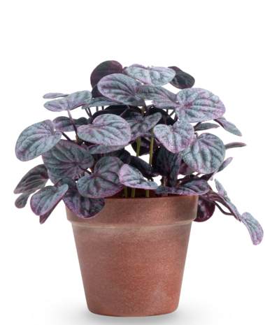 Greenmoods Kunstig Peperomia Caperata Lilla i Terrapotte 26 cm