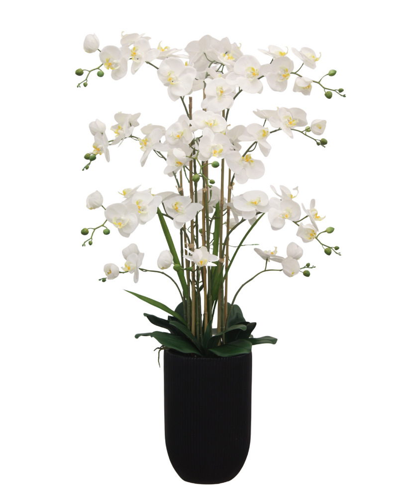 Greenmoods Eksklusiv Kunstig Orkidé Real Touch Hvit 110cm