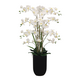 Greenmoods Eksklusiv Kunstig Orkidé Real Touch Hvit 110cm