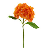 Greenmoods Kunstig Charlotte Hortensia Real Touch Oransje 49 cm