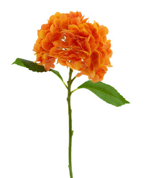 Greenmoods Kunstig Charlotte Hortensia Real Touch Oransje 49 cm