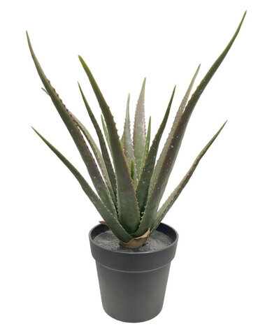 Greenmoods Kunstig Agave Plante UV 65cm