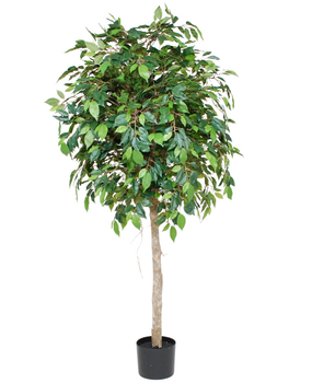 Greenmoods Kunstig Fikus Benjamin Tre 150cm