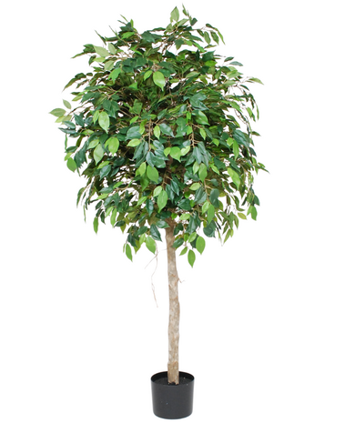 Greenmoods Kunstig Fikus Benjamin Tre 150cm