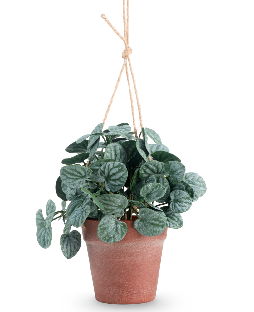 Greenmoods Kunstig Peperomia Busk i Hengende Potte 29 cm