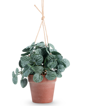 Greenmoods Kunstig Peperomia Busk i Hengende Potte 29 cm