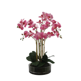 Greenmoods Kunstig Real Touch Phalaenopsis Orkidé Rosa/Hvit i Glasskrukke 64cm
