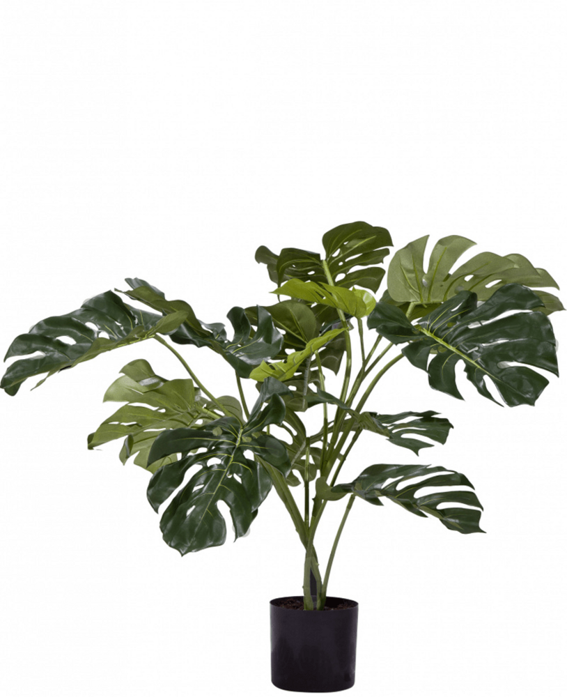 Greenmoods Kunstig Monstera Split Deluxe 85cm
