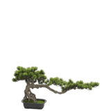 Greenmoods Kunstig Bonsai Tre UV 45 cm