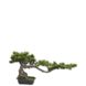 Greenmoods Kunstig Bonsai Tre UV 45 cm