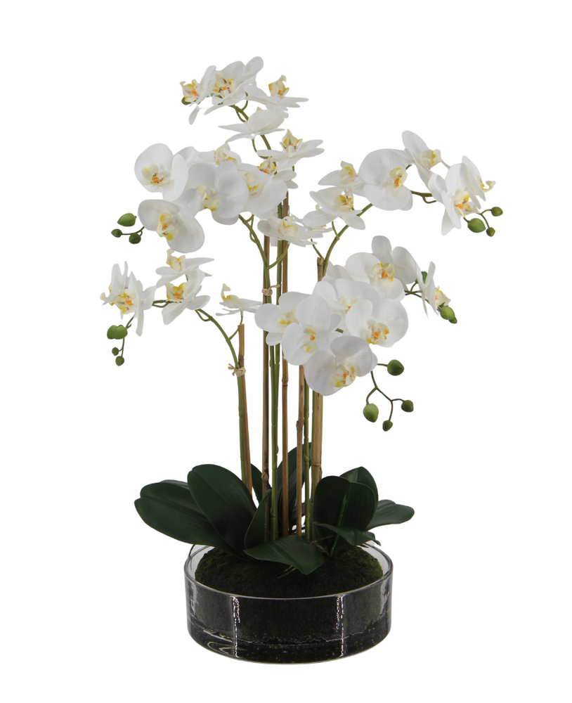 Greenmoods Kunstig Real Touch Phalaenopsis Orkidé Hvit i Glasskrukke 64cm