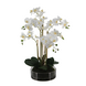 Greenmoods Kunstig Real Touch Phalaenopsis Orkidé Hvit i Glasskrukke 64cm