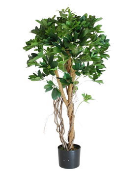 Greenmoods Kunstig Schefflera Tre Unik 120cm