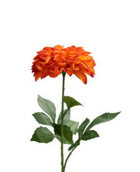 Greenmoods Kunstig Georgine Lotte Real Touch Oransje 72 cm