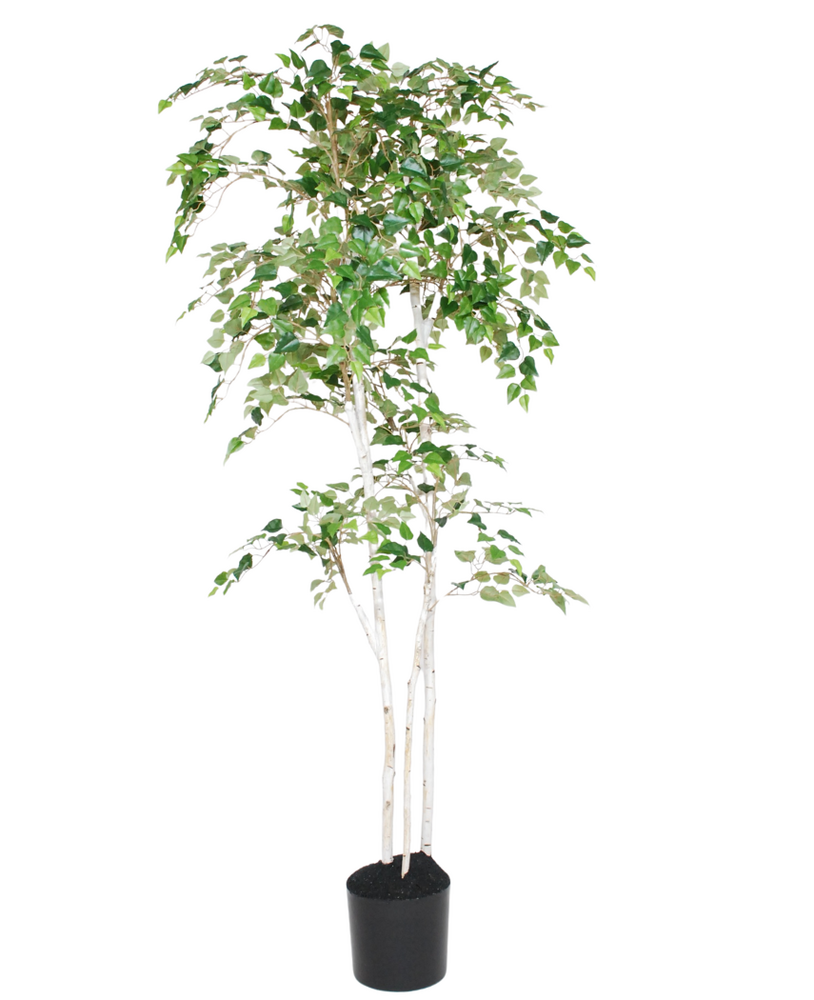 Greenmoods Kunstig "Silver" Bjørk 180cm