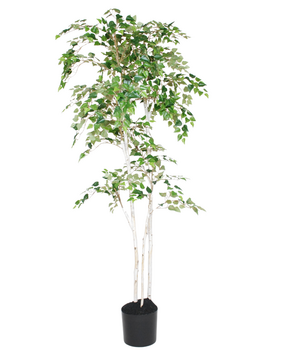 Greenmoods Kunstig "Silver" Bjørk 180cm