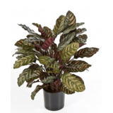 Greenmoods Kunstig plante Calathea 60 cm Grønn/rød