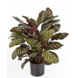 Greenmoods Kunstig plante Calathea 60 cm Grønn/rød