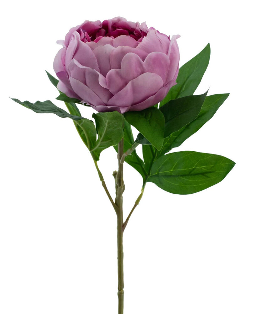 Greenmoods Kunstig blomst Lotuspeon Real Touch lilla 58 cm