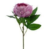 Greenmoods Kunstig blomst Lotuspeon Real Touch lilla 58 cm