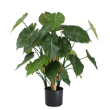 Greenmoods Kunstig Syngonium Plante 70 cm