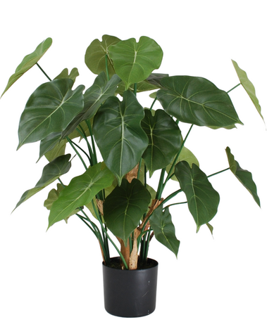 Greenmoods Kunstig Syngonium Plante 70 cm