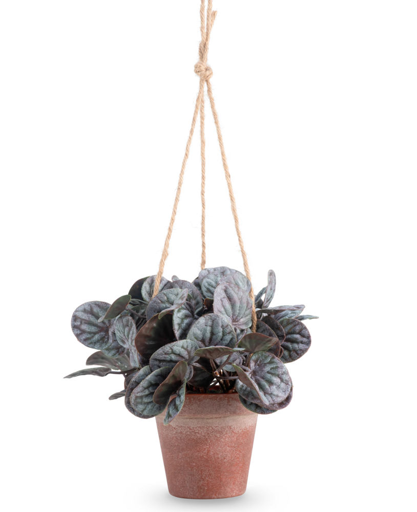 Greenmoods Kunstig Peperomia Caperata i Hengende Potte 18 cm