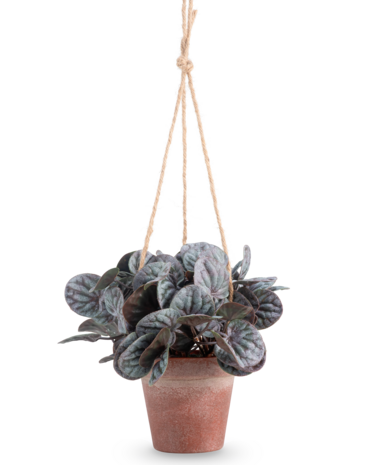 Greenmoods Kunstig Peperomia Caperata i Hengende Potte 18 cm