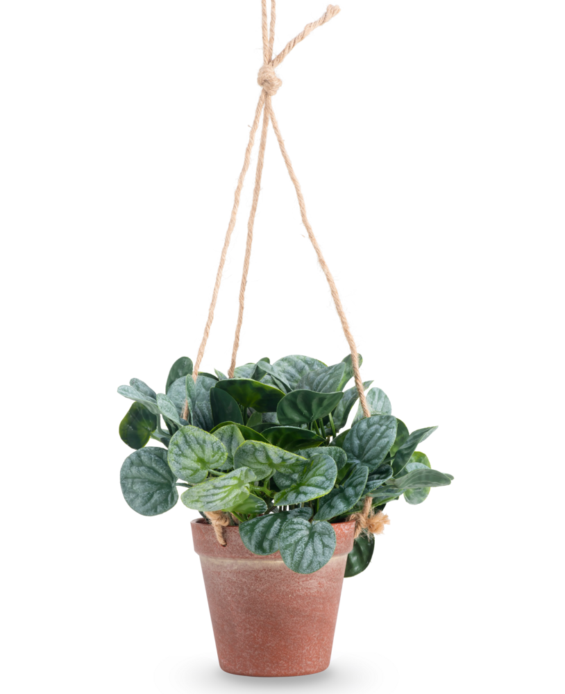 Greenmoods Kunstig  Peperomia i Hengende Potte 18 cm
