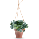 Greenmoods Kunstig  Peperomia i Hengende Potte 18 cm