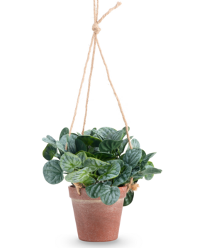 Greenmoods Kunstig  Peperomia i Hengende Potte 18 cm