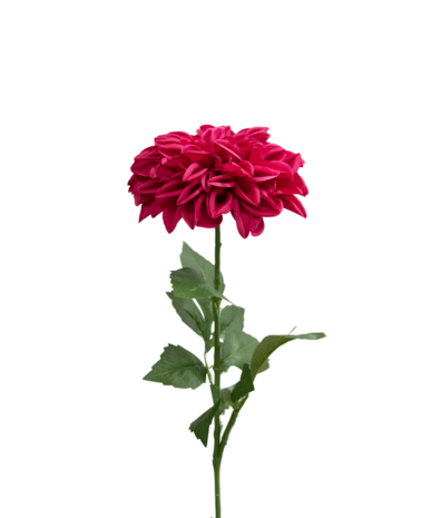 Greenmoods Kunstig Georgine Lotte Real Touch Fuchsia 72 cm