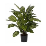 Greenmoods Kunstig Plante Calathea 60 cm