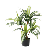 Greenmoods Kunstig Plante Dracaena 75 cm