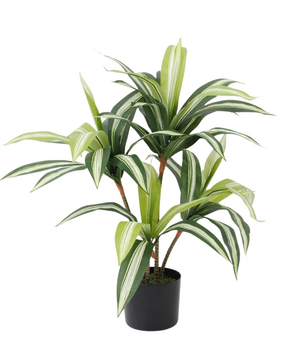Greenmoods Kunstig Plante Dracaena 75 cm