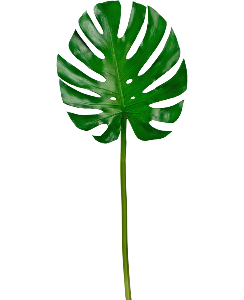 Greenmoods Kunstig blad Monstera 88 cm