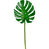 Greenmoods Kunstig blad Monstera 88 cm