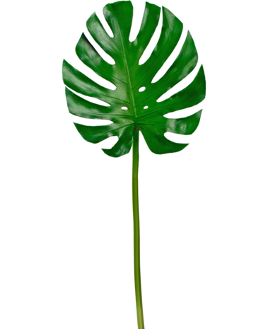 Greenmoods Kunstig blad Monstera 88 cm