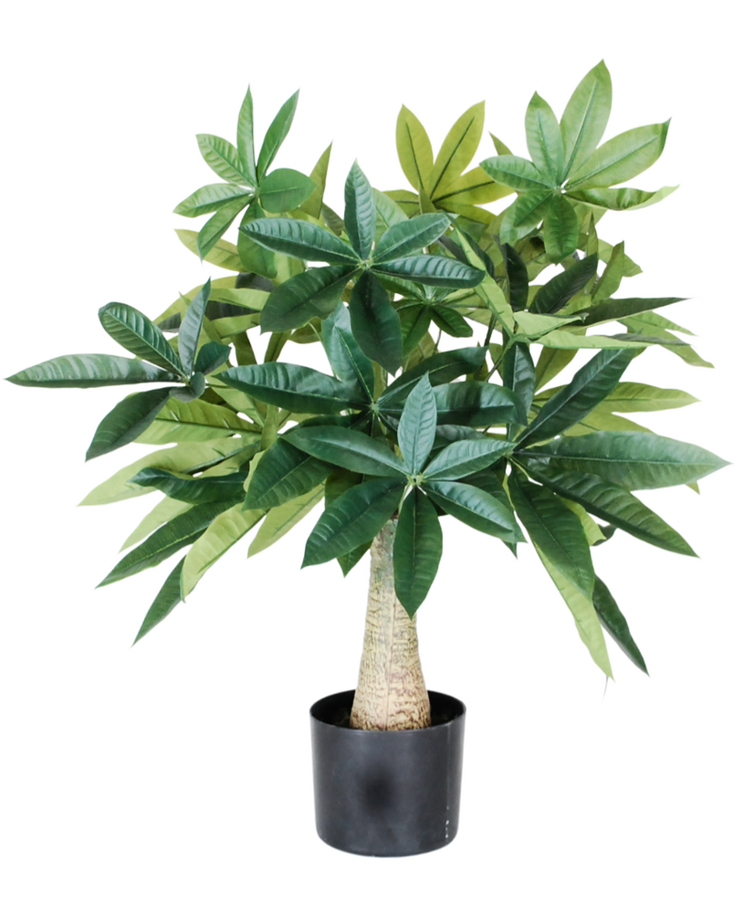 Greenmoods Kunstig Pachira Minitre 70 cm