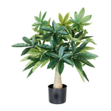 Greenmoods Kunstig Pachira Minitre 70 cm