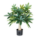 Greenmoods Kunstig Pachira Minitre 70 cm