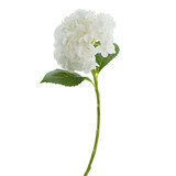 Greenmoods Kunstig Hortensia Real Touch Hvit 49 cm