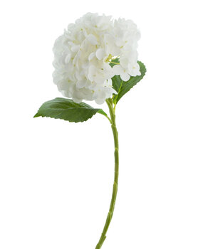Greenmoods Kunstig Hortensia Real Touch Hvit 49 cm